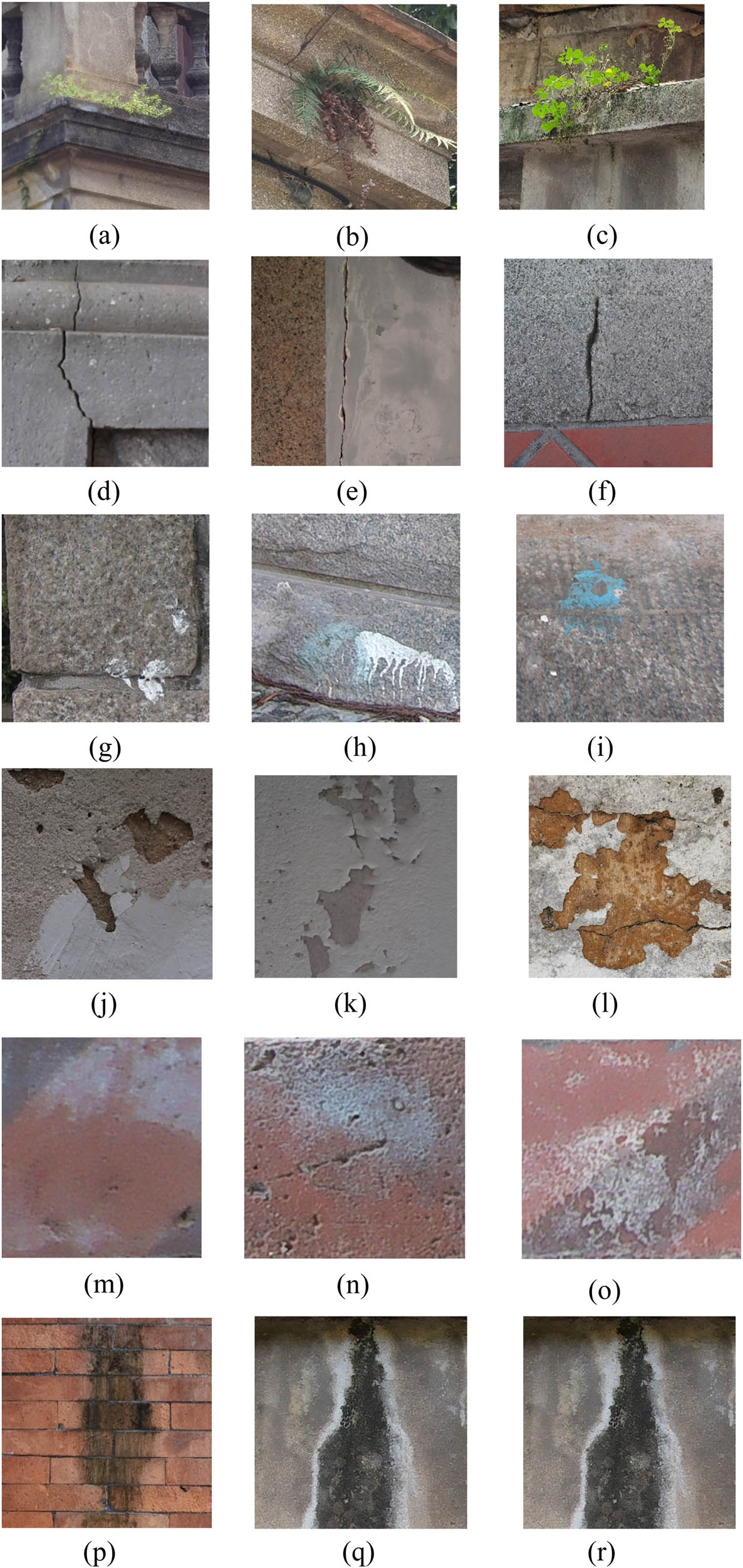 Figure 1 
                  Samples of the dataset that were used to train our model showing diverse plant penetration images (a–c), cracking (d–f), staining (g–i), deterioration (j–l), alkalization (m–o), and moss (p–r).
               