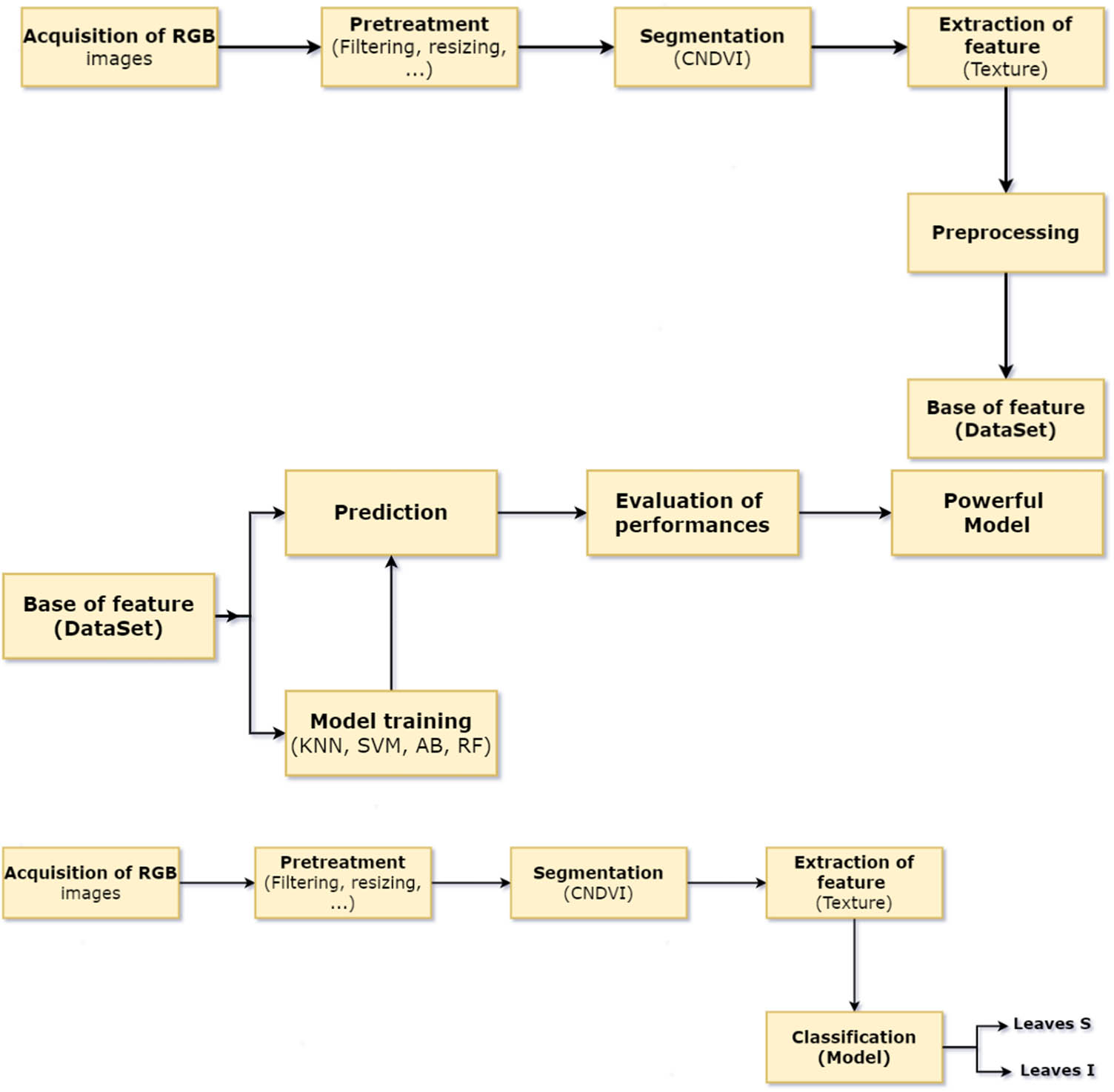 Figure 1 
               Image processing process: Constitution of dataset (top panel), determination of the best model (middle panel), and image diagnosis process after deployment of the model in the field (bottom panel).
            