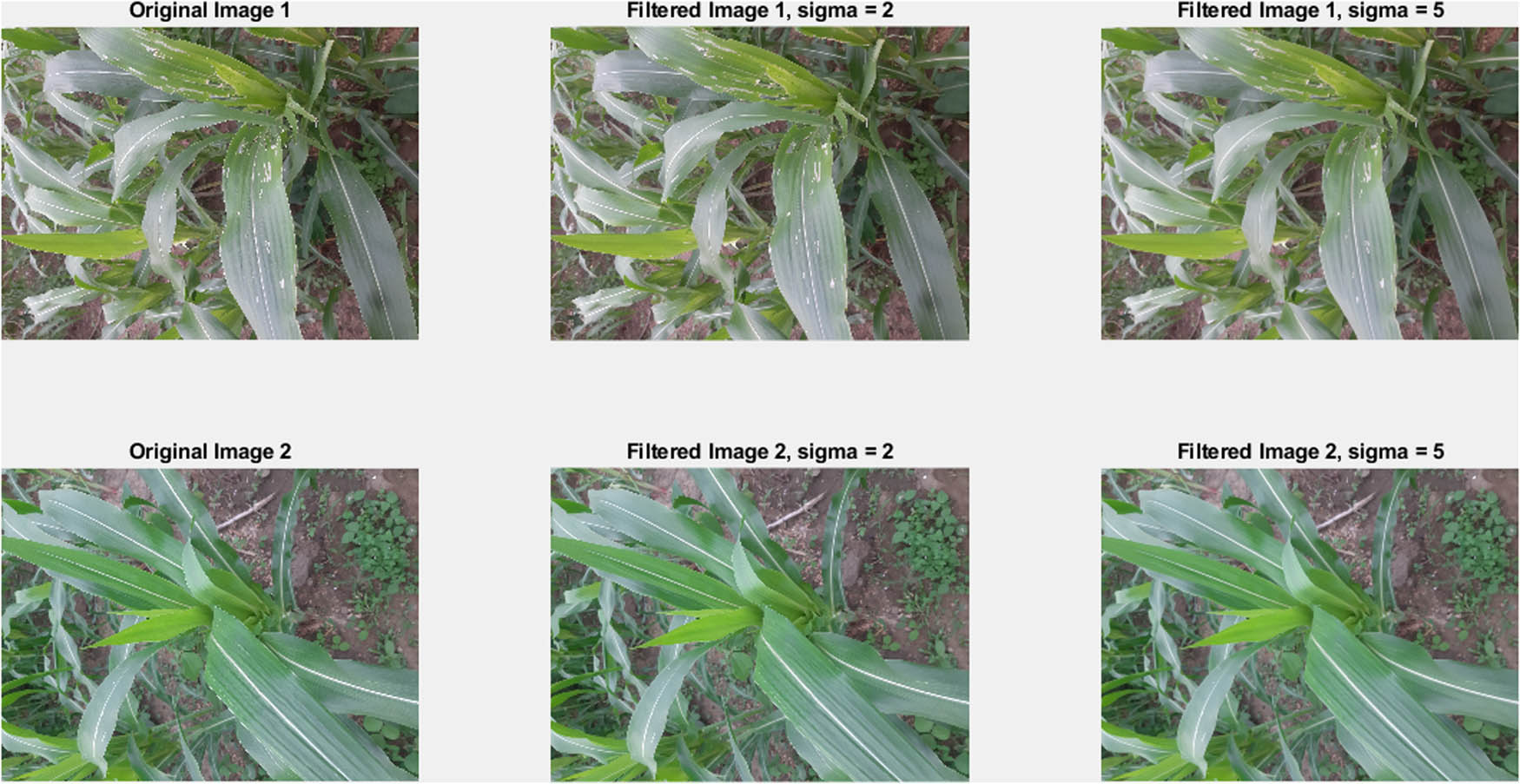 Figure 3 
                  Original and filtered pictures with 
                        
                           
                           
                              σ
                              =
                              2
                           
                           \sigma =2
                        
                      and 
                        
                           
                           
                              σ
                              =
                              5
                           
                           \sigma =5
                        
                     .
               