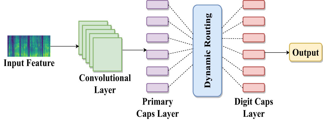 Figure 2
Caps-Net architecture.