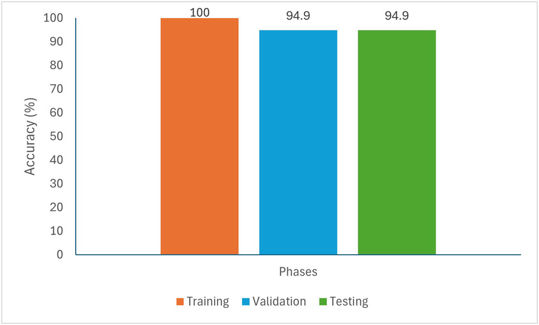 Figure 12
Training, validation, and test accuracy.
