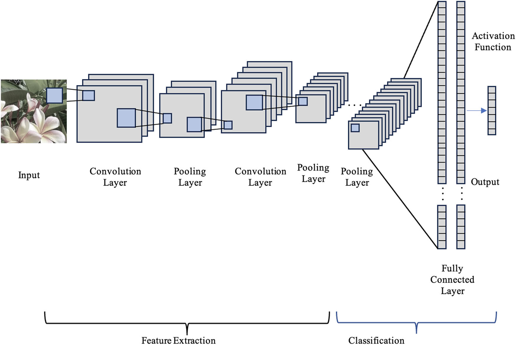 Figure 3 
                  Convolution neural network (CNN).
               