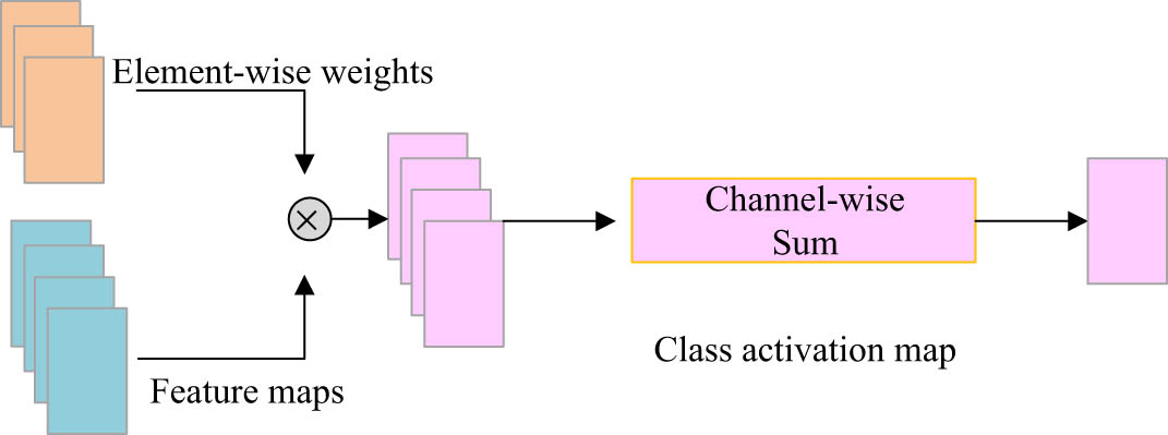 Figure 6 
                  Class activation diagram.
               