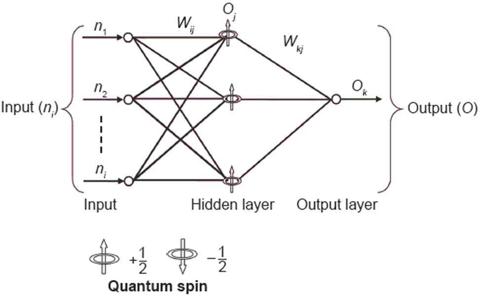 Figure 6 
                     Architecture of quantum neural network.
                  