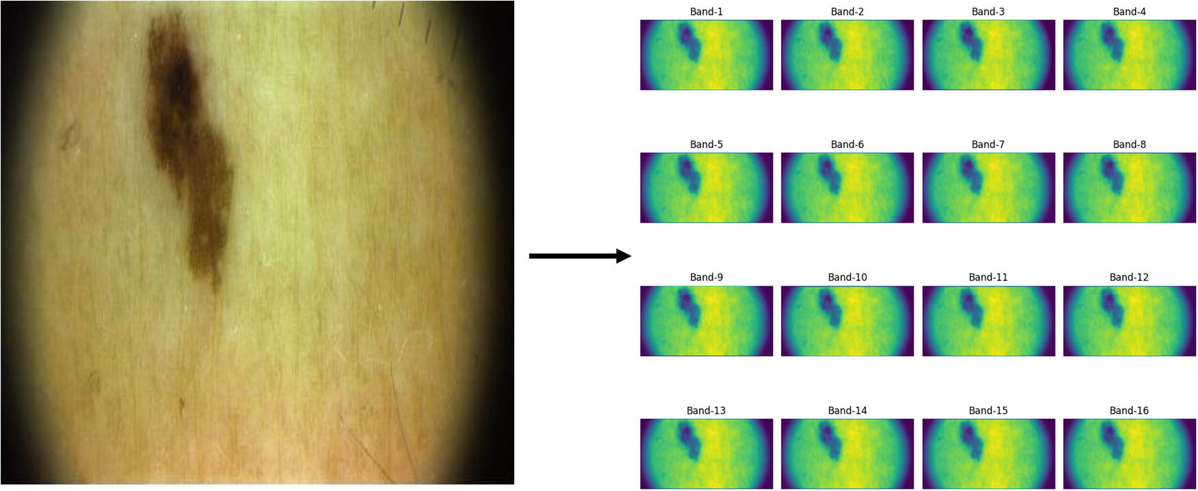 Figure 4 
                  RGB image to the supperresovled hyperspectral image.
               