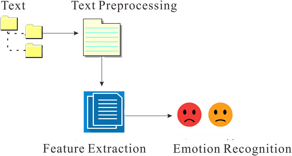 Figure 2 
                  Text emotion recognition.
               