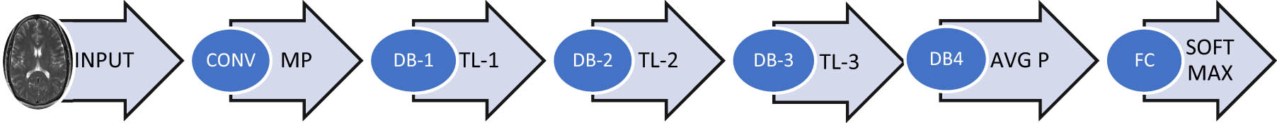 Figure 3
Framework of DenseNet-201.