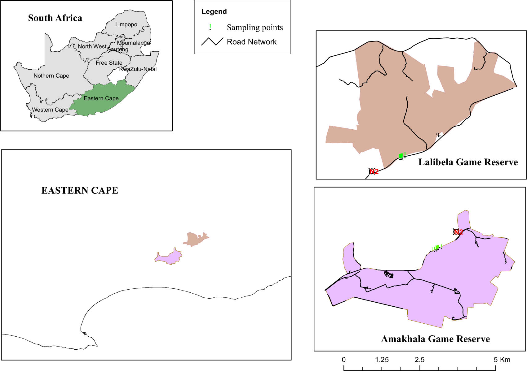 Figure 2 
                  The Amakhala and Lalibela game reserves, Eastern Cape Province, South Africa, showing sampling points in green. Source: Created by the authors.
               