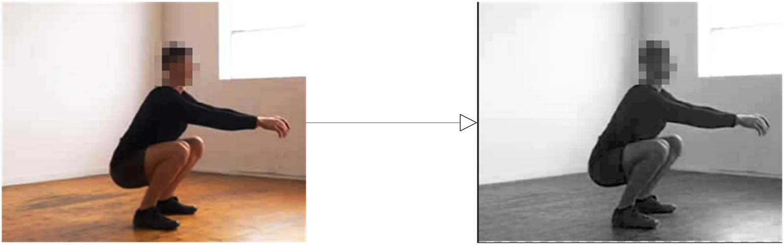 Figure 3
Images before and after grayscale processing.