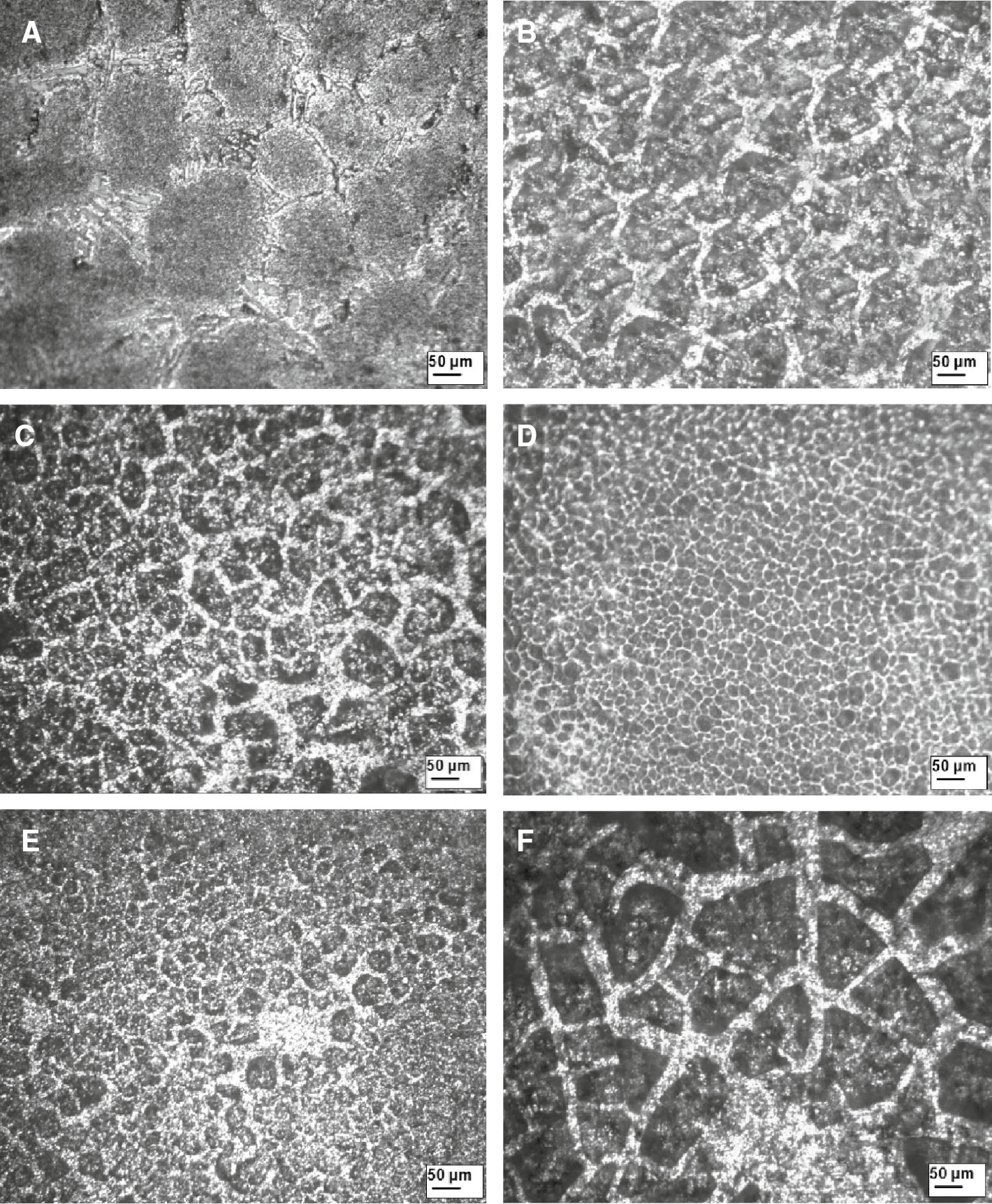 Figure 2: Effect of TVR on FSP region microstructure (OM).(A) Base material, (B) TVR=2.00, (C) TVR=2.30, (D) TVR=2.60, (E) TVR=2.90 and (F) TVR=3.20.