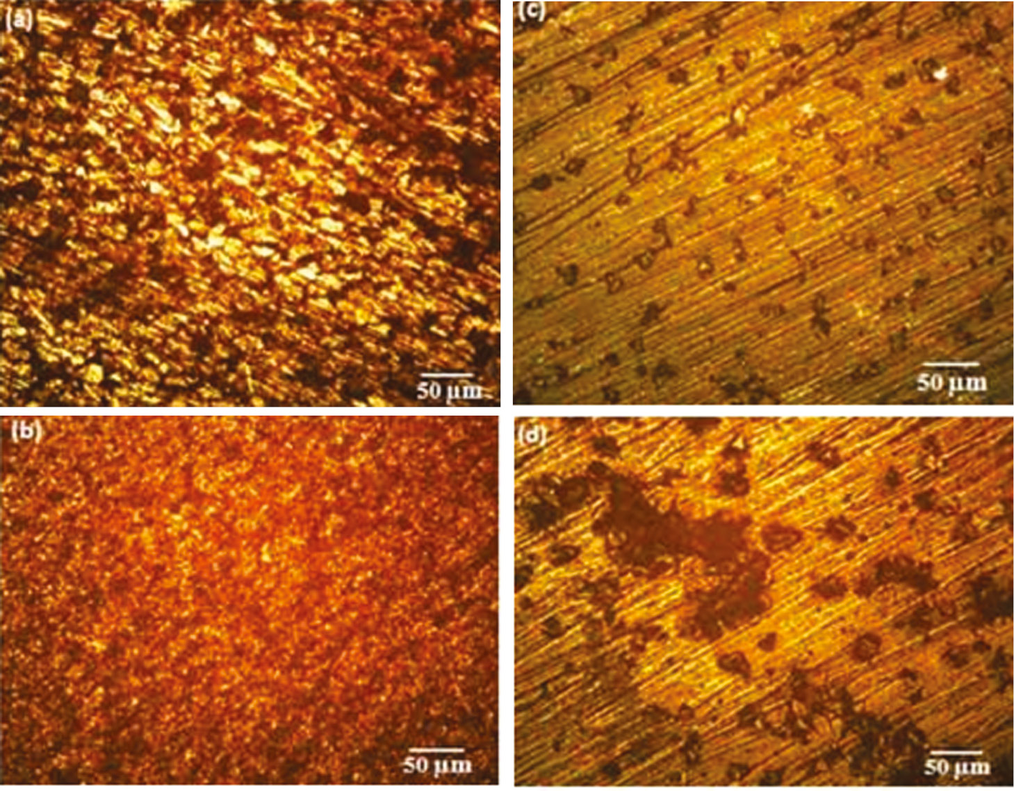 Figure 6: Optical microstructure of erosion corrosion.(A) Base metal at 30°, (B) base metal at 90°, (C) friction surfaced at 30°, (D) friction surfaced at 90°.