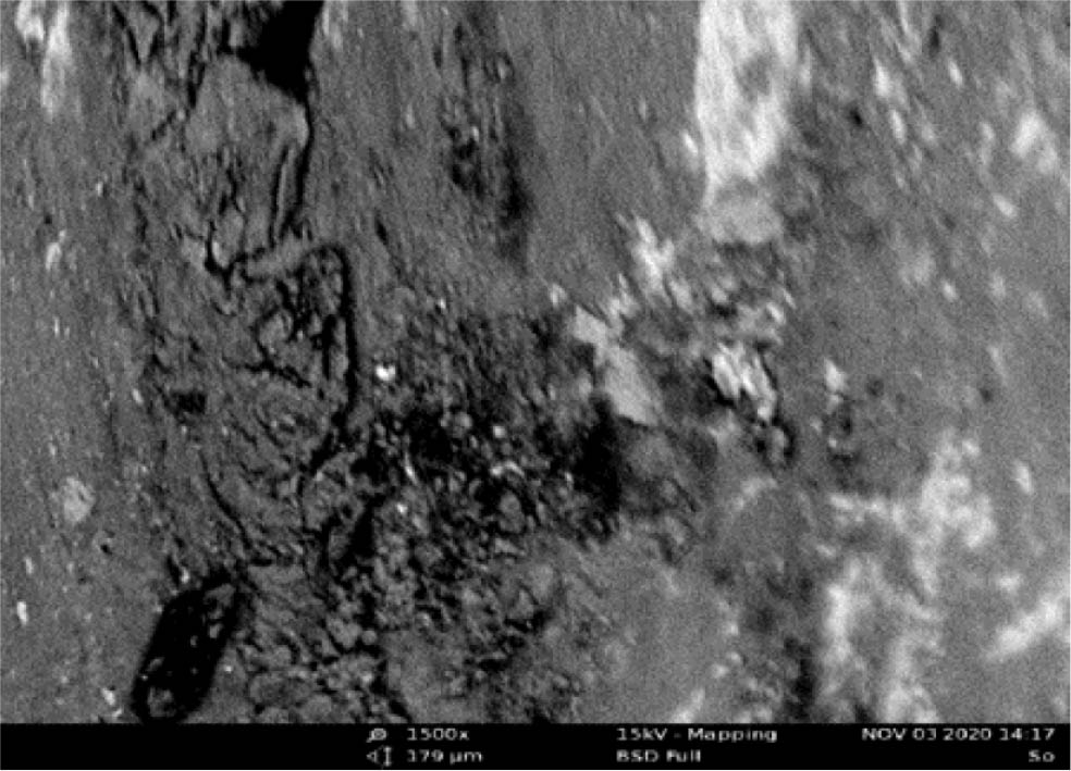 Figure 10 SEM Result of the blank mild steel.