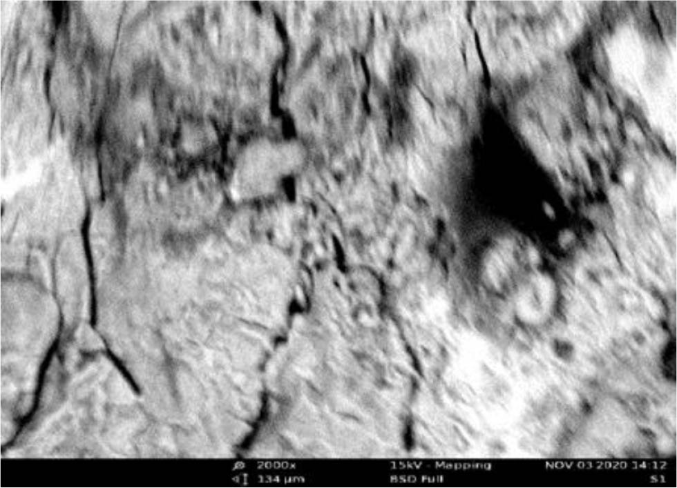 Figure 11 SEM result of the mild steel with the highest IE.