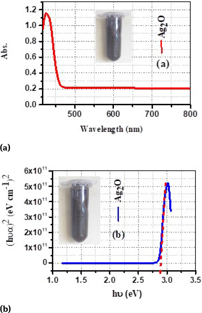 Figure 6 UV-Vis spectrophotometer of green-synthesized Ag2O NPs, (a) Absorption spectrum, and (b) energy bandgap (Eg).