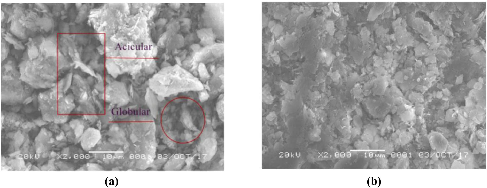 Figure 1 
               Microstructure improvement of the stabilised soil: (a) 0% nano-MgO and (b) 15% nano-MgO [2].
            