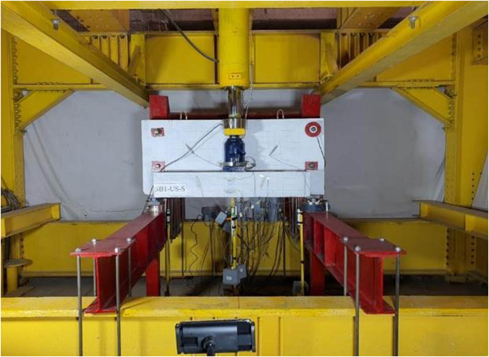 Figure 5 
                  Typical test setup.
               