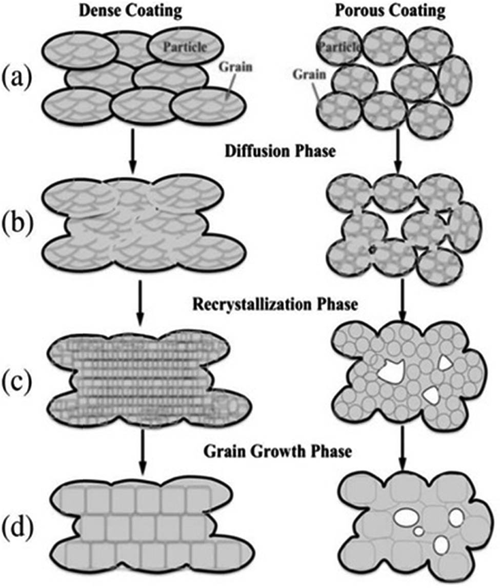 Figure 1 
                  Schematical microstructural view of CS dense and porous coatings under heat-treated condition: (a) powder coating; (b) diffusion phase; (c) recrystallization phase; (d) grain growth phase [15].
               
