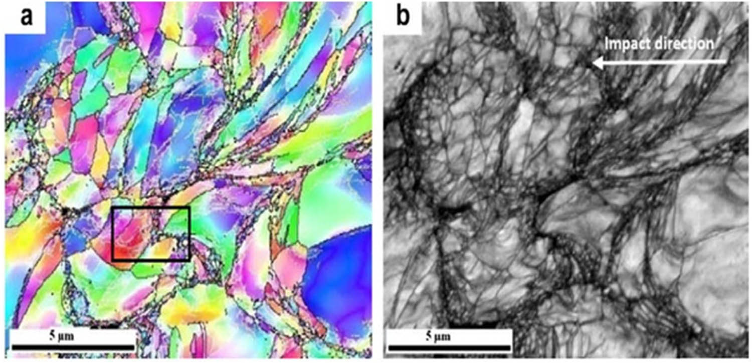Figure 10 
                  EBSD mappings of the cross-sectional view of cold sprayed Ni coating: (a) Euler angle mapping and (b) pattern quality mapping of the same region [33].
               