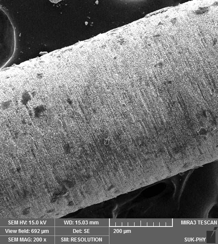 Figure 2
Photograph of electrode surface.