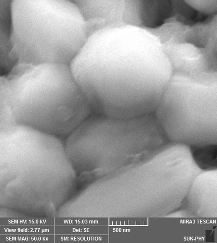 Figure 3
Grain structure in the coating.
