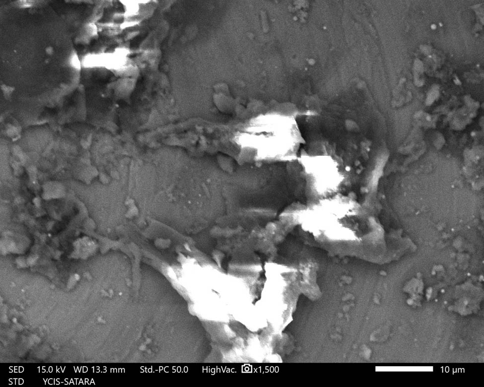 Figure 9
Topography of machined surface.