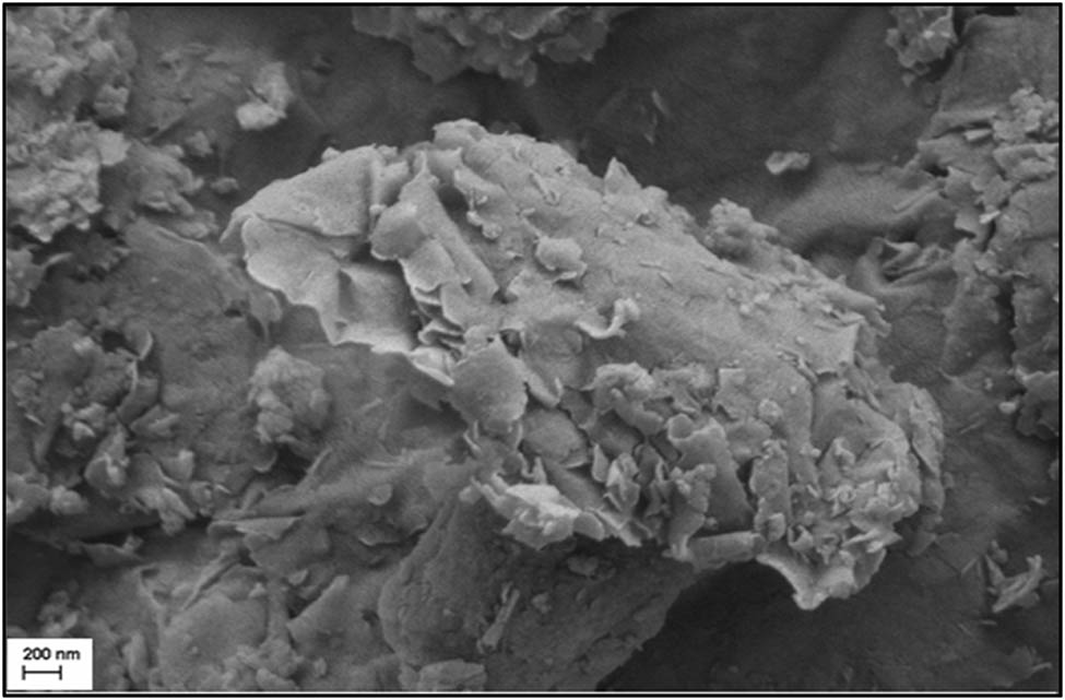 Figure 1
Scanning electron micrograph of Cloisite® Na+ NC layers.