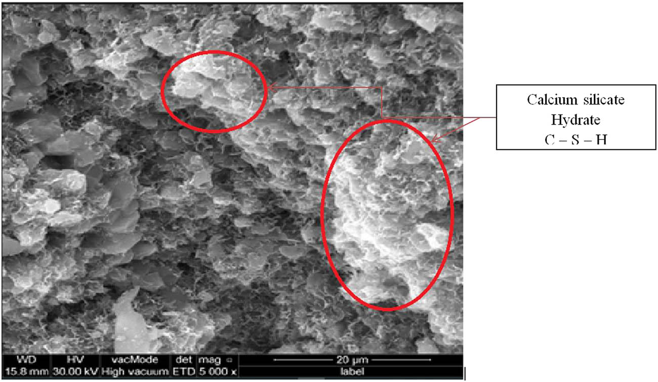 Figure 14
SEM image of reference mixture.