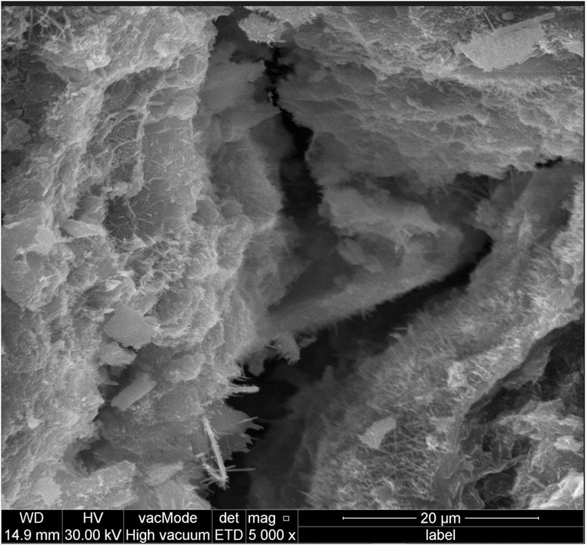 Figure 16
SEM image of green mixture containing 20% WGP.