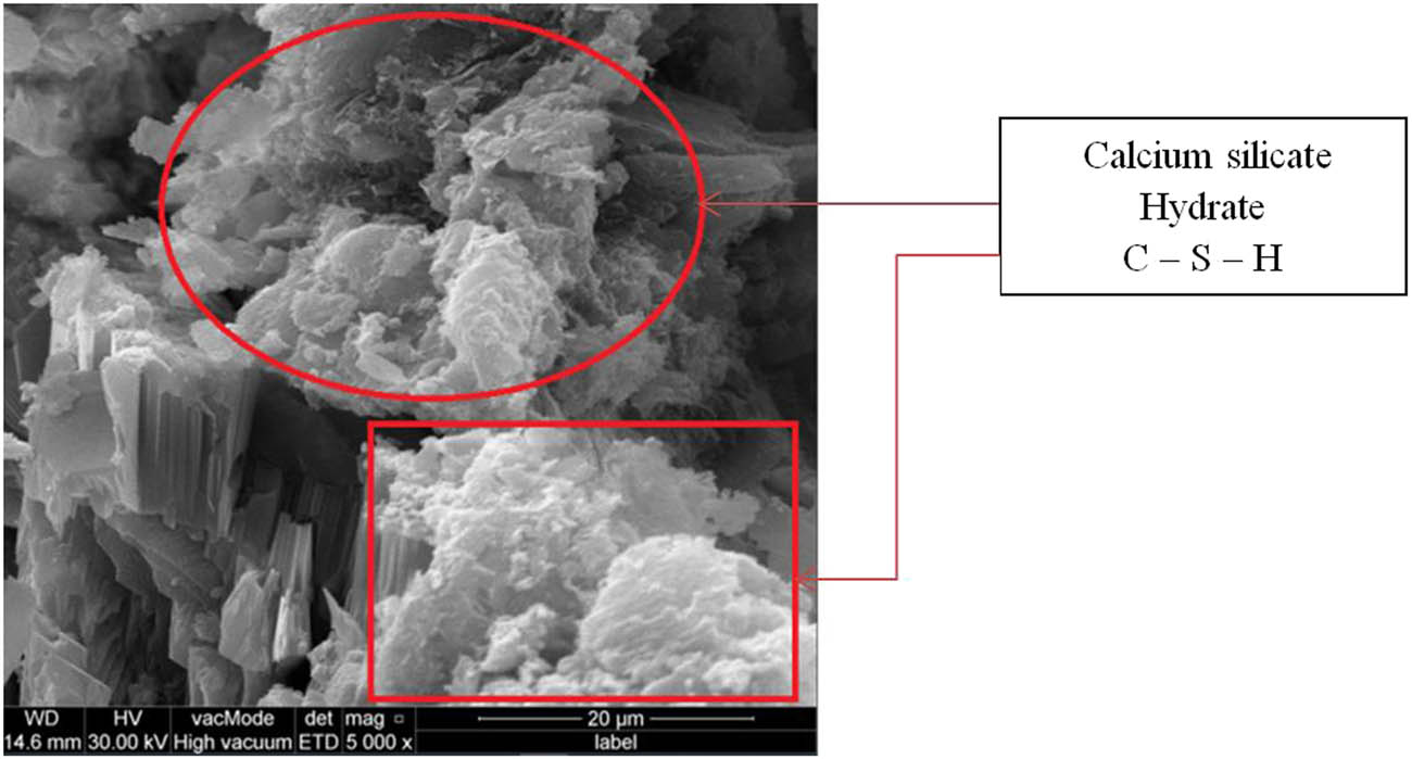 Figure 17
SEM image of for Green mixture containing 20% WSS.