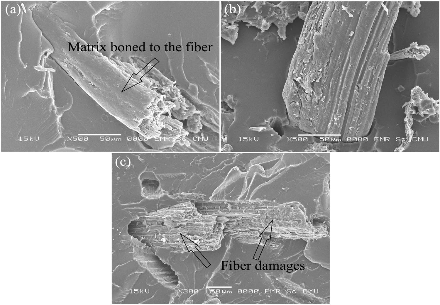 Figure 3
SEM images of composite samples: (a) 0.5 mol/L VFT+ER, (b) 1.5 mol/L VFT+ER, and (c) 3 mol/L VFT+ER.