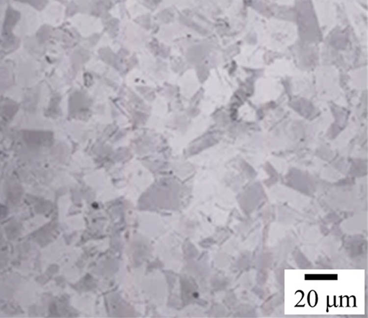 Figure 1
Microstructure of the tested material.