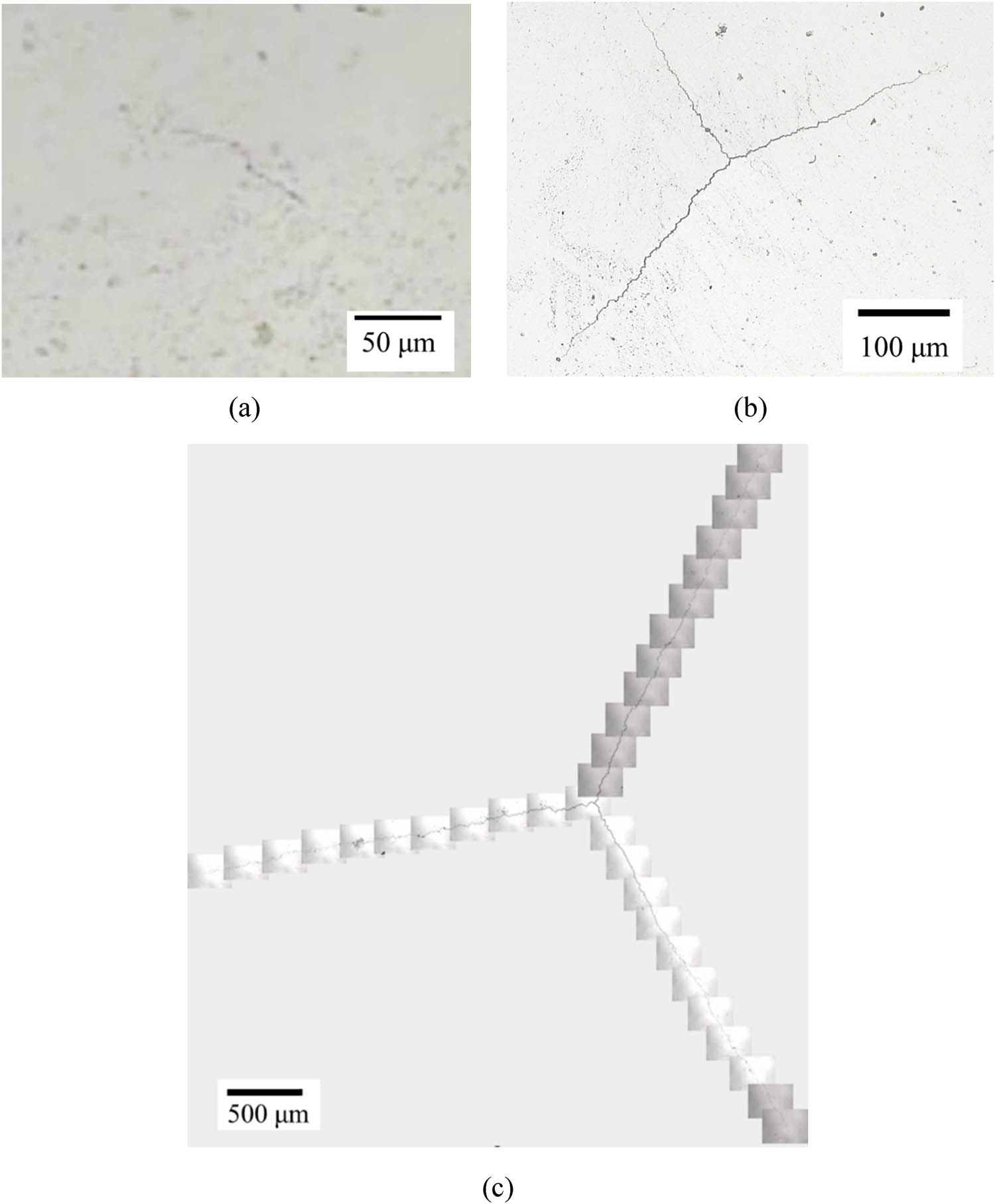 Figure 3
Morphologies of typical fatigue cracks on the SD specimen: (a) just initiated (the still image of the recorded video captured using a digital microscope), (b) after fatigue test, and (c) after crack propagation test.