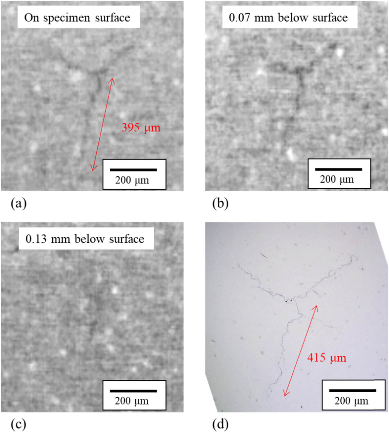 Figure 4
Typical images obtained by X-CT: (a) On the surface of the SD specimen, (b) 0.07 mm below the surface, (c) 0.13 mm below the surface, and (d) optical microscope image.