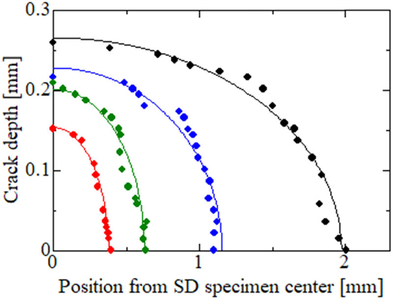 Figure 5
Typical crack shapes measured by X-CT.