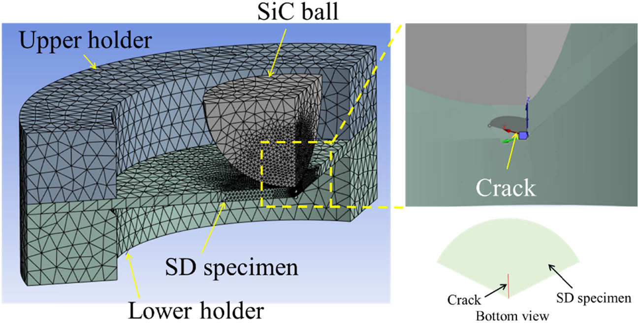 Figure 12
FE model to evaluate the SIF.