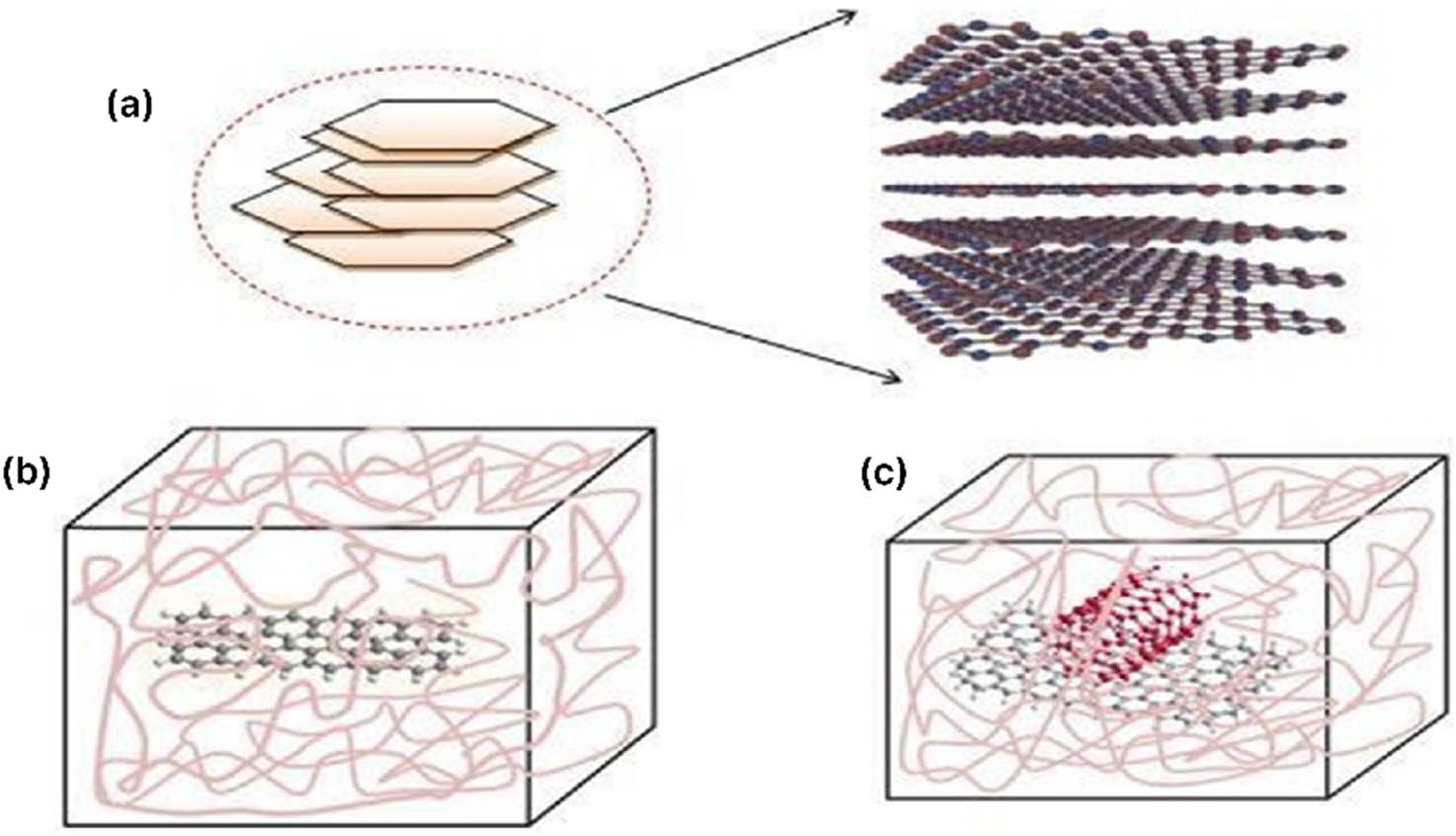 Figure 8 
               (a) GNP nanofiller; (b) interaction of GNP in rubber matrix; and (c) interaction of MWCNT/GNP in rubber.
            