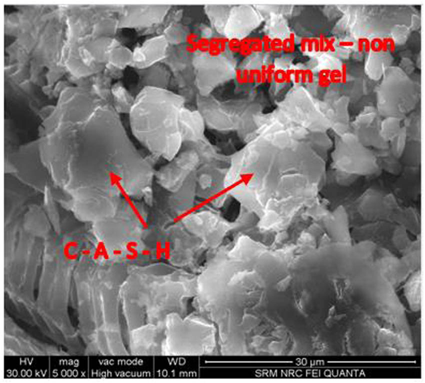 Figure 5 
                  Mix 7 – SEM.
               