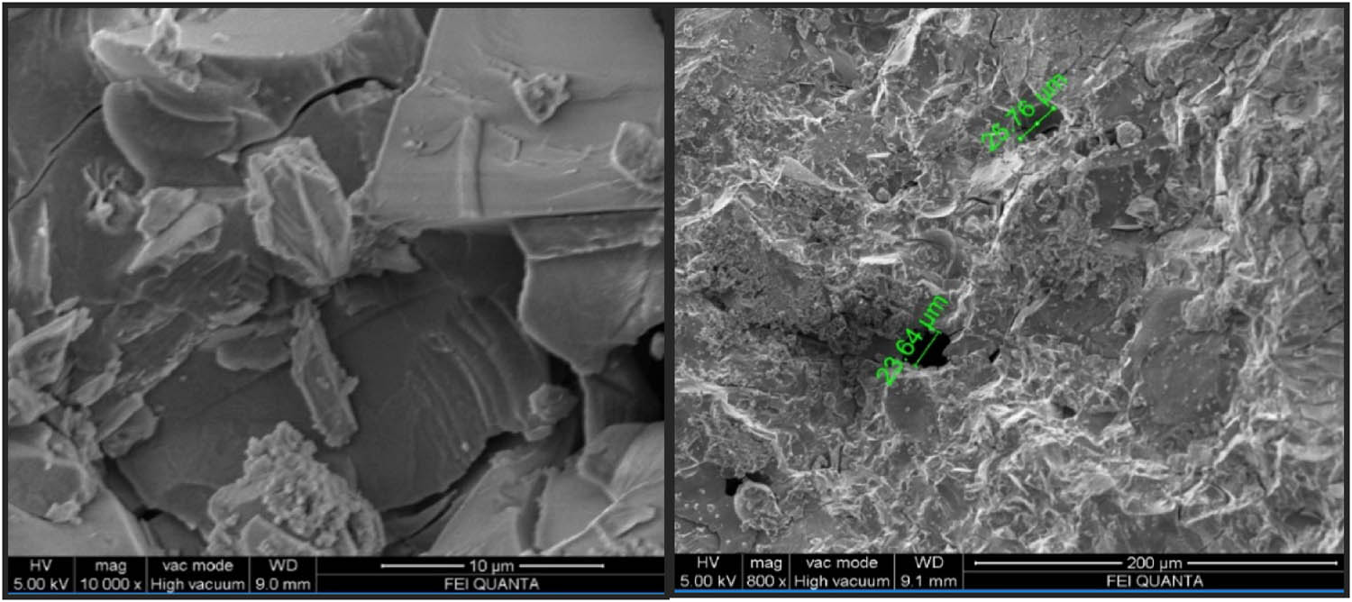 Figure 21 
                  GPCC – SEM.
               