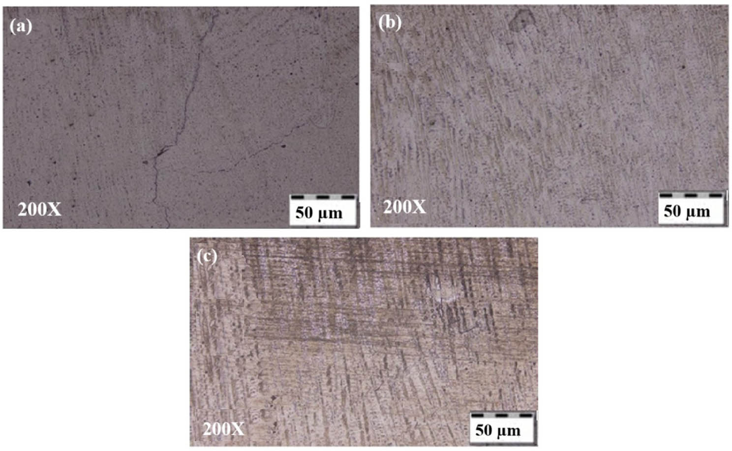 Figure 7
Microstructures of (a) layer 1, (b) layer 2, and (c) layer 3 of sample-2.