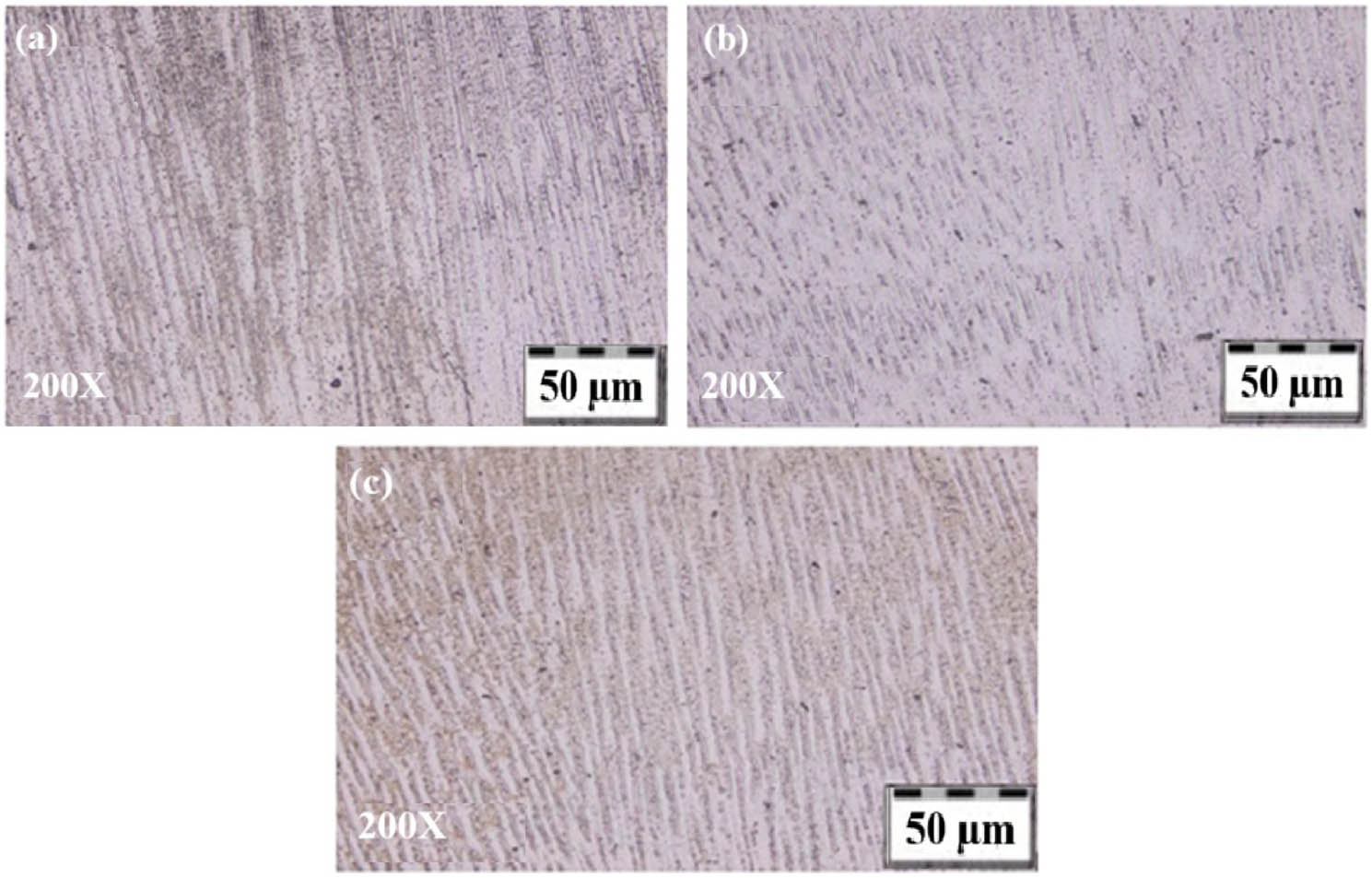 Figure 8
Microstructures of (a) layer 1, (b) layer 2, and (c) layer 3 of sample-6.
