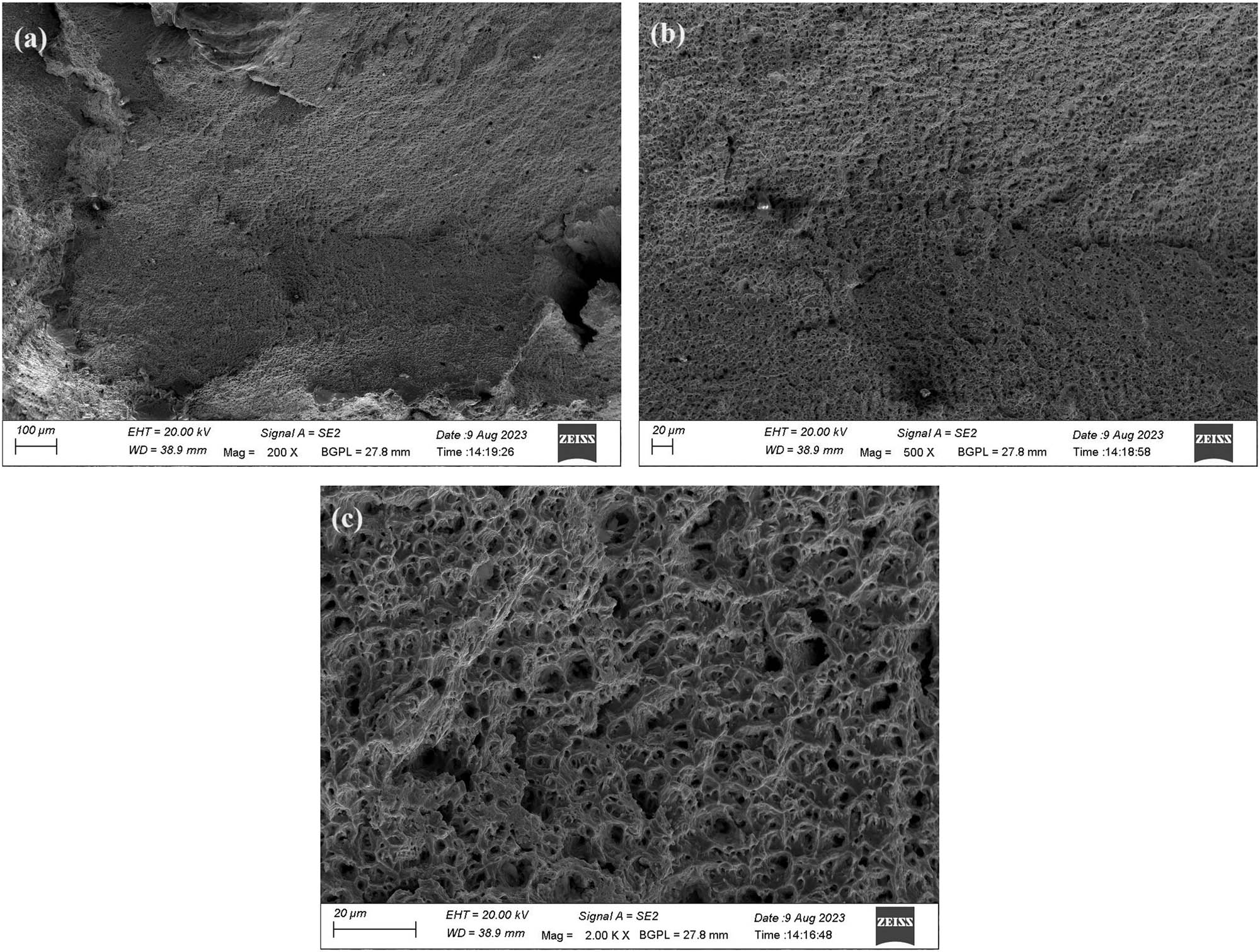 Figure 12
(a–c) Tensile failure surface morphology of third compositional layer of sample-2.