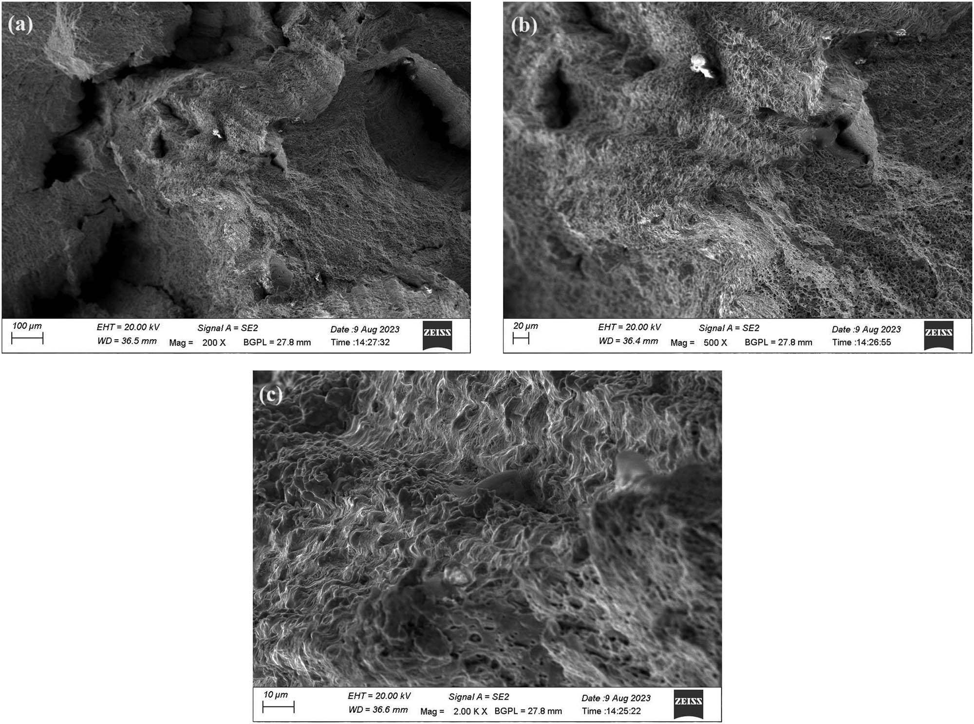 Figure 13
(a–c) Morphology of tensile failure surface of third compositional layer of sample-6.