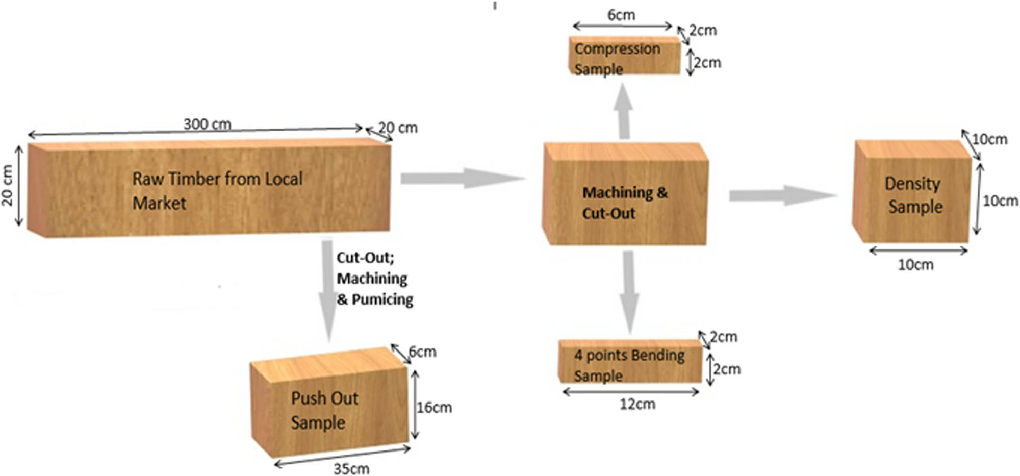 Figure 2 
               Cutting diagram of different wood samples.
            