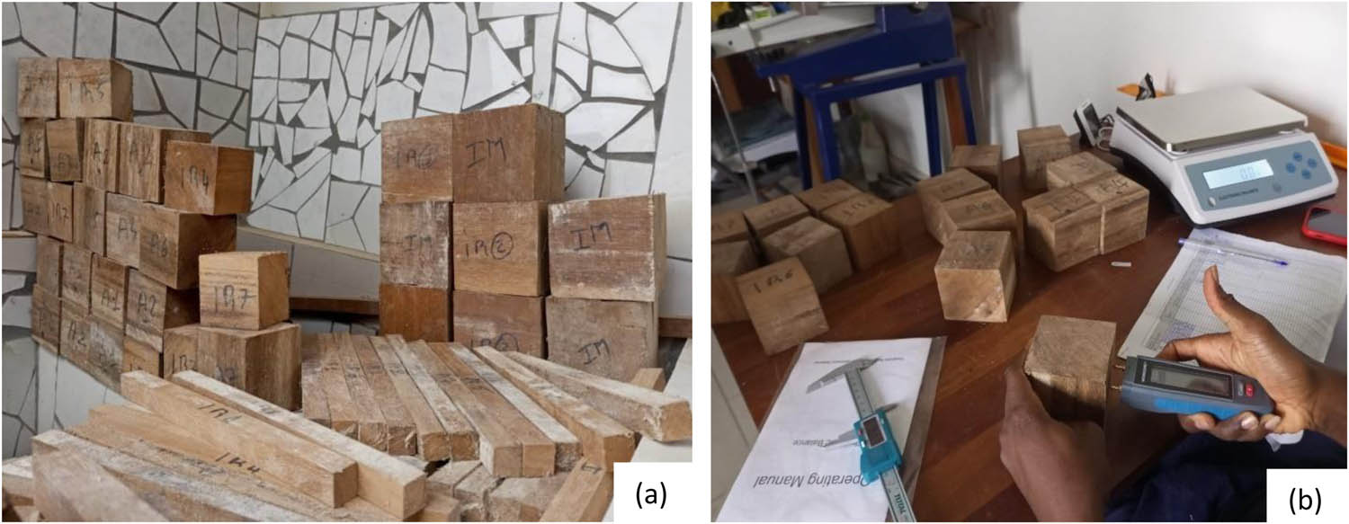 Figure 5 
                  Determination of the physical properties of wood species: (a) cubic wood specimens for the determination of the density and (b) weighty for density and the moisture content evaluation of wood specimens.
               