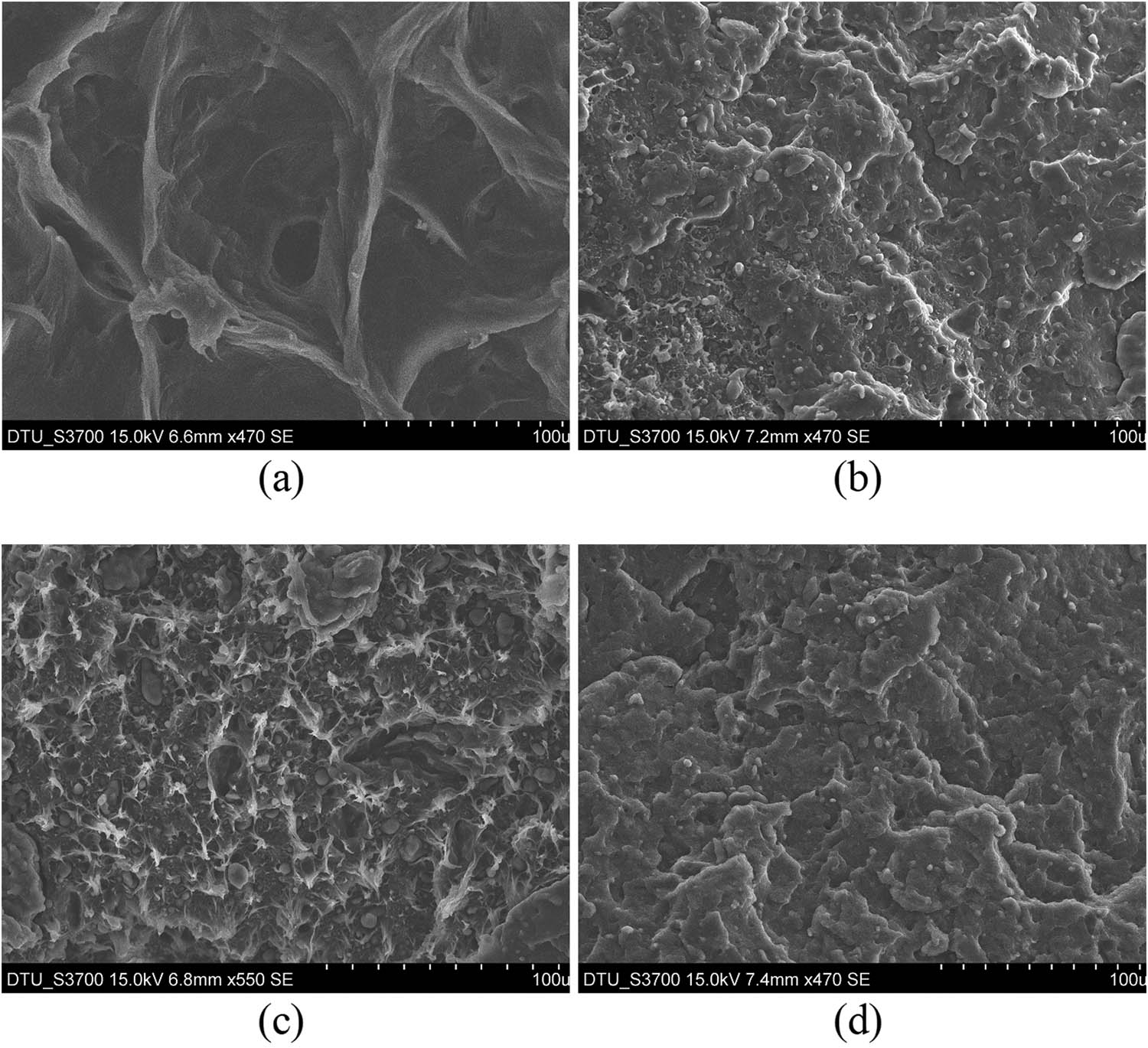 Figure 7 
                  SEM image of (a) PP and (b) PPSTTiO2-2001. SEM image of (c) PPSTTiO2-2003 and (d) PPSTTiO2-2005.
               