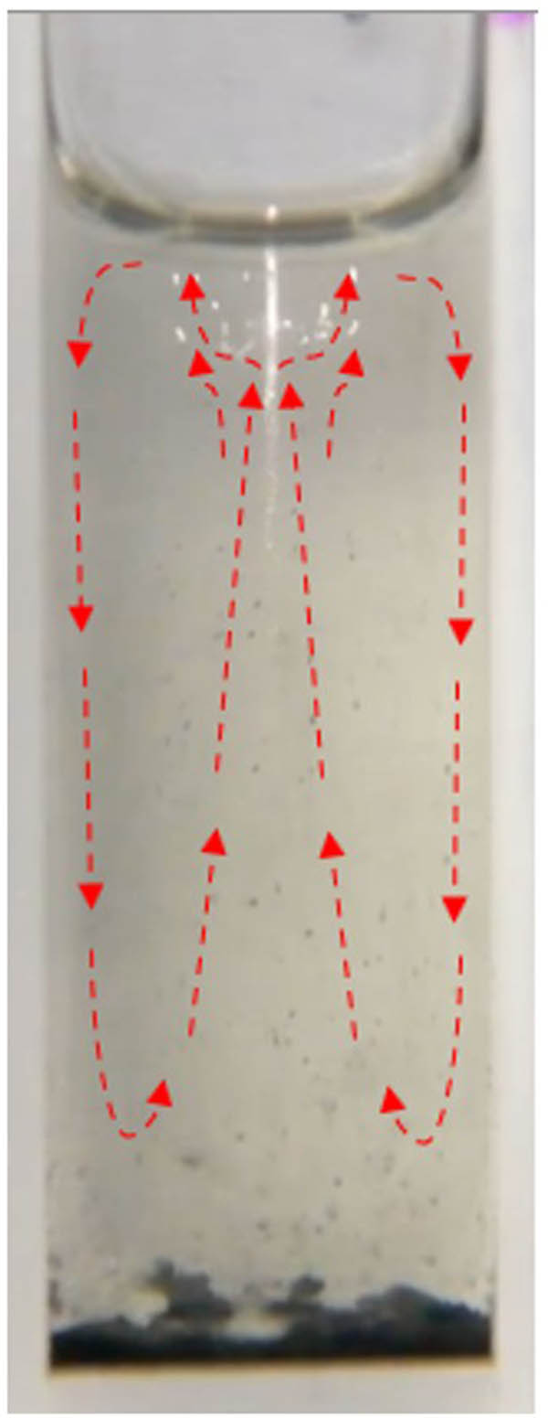 Figure 4 
               Filamentation in ethanol in the presence of fine carbon powder with the direction of fluid flow indicated by the red arrow.
            