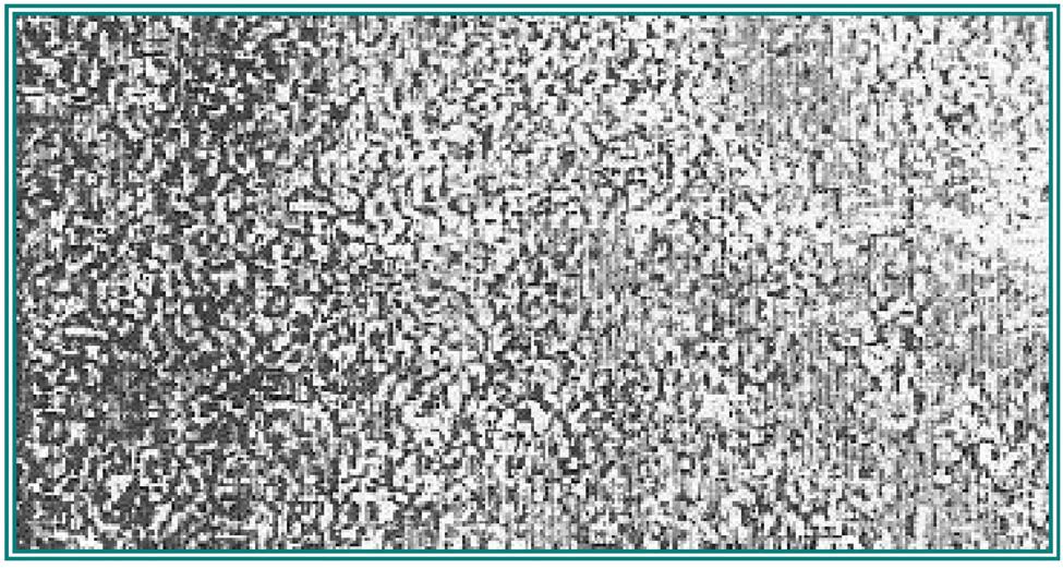 Figure 12 
                  Microstructure of the deposit of weld.
               
