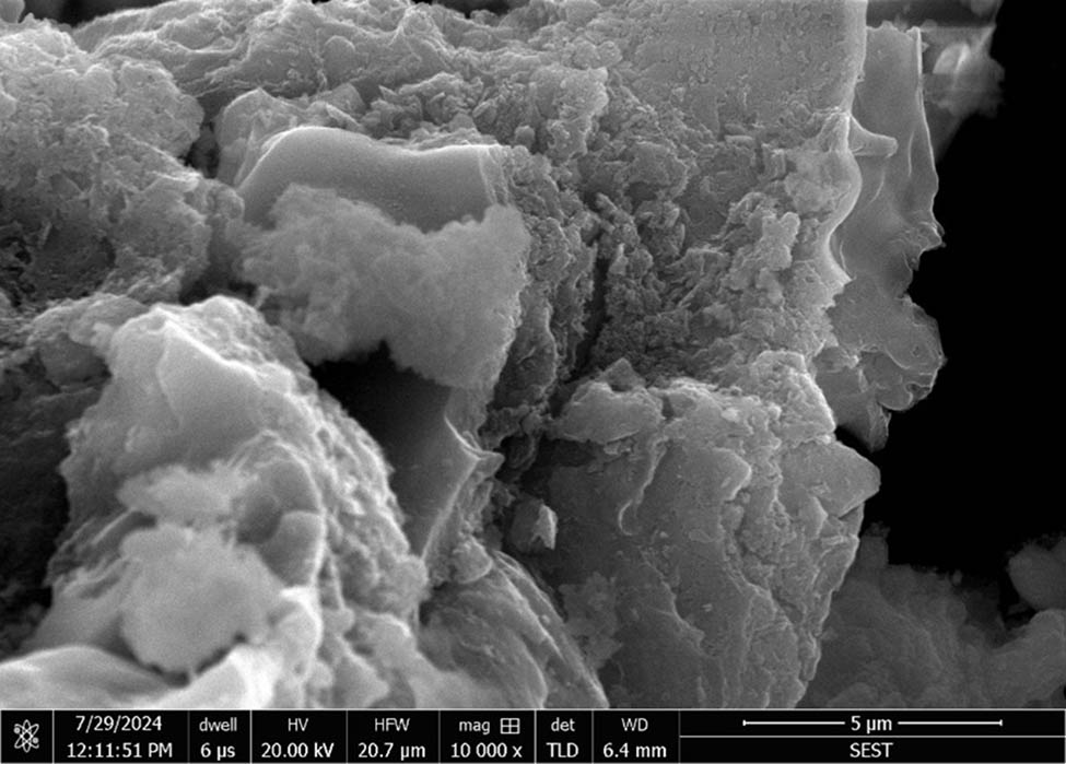 Figure 2 
                  SEM image of septage ash.
               