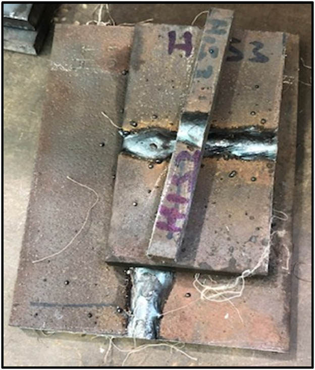 Figure 4 
                  Coupon sampling (transversely).
               