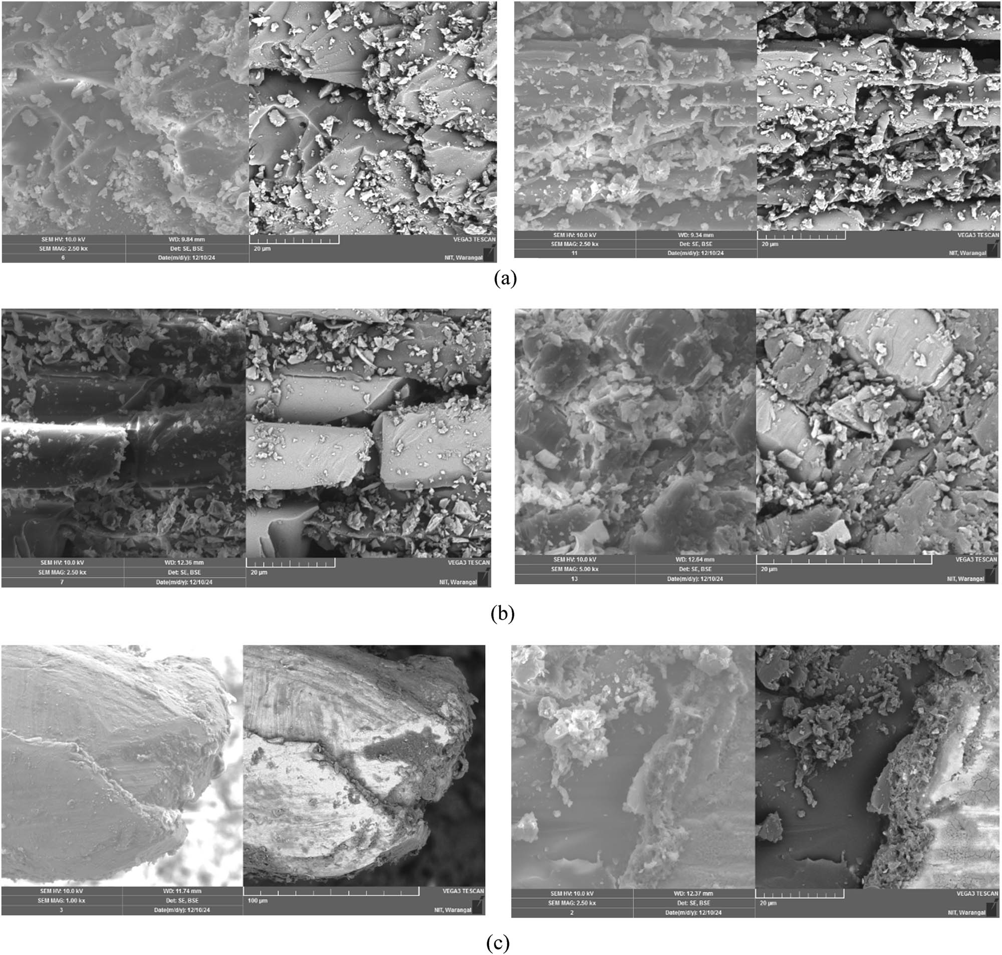Figure 10 
                  Cross section morphology of (a) carbon, (b) glass, and (c) steel.
               